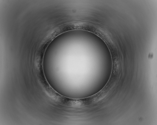 X0000097870698200803141258