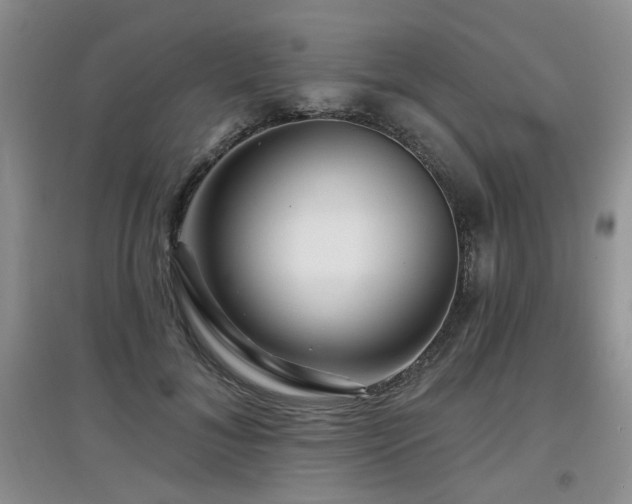 X0000097870700200803141258