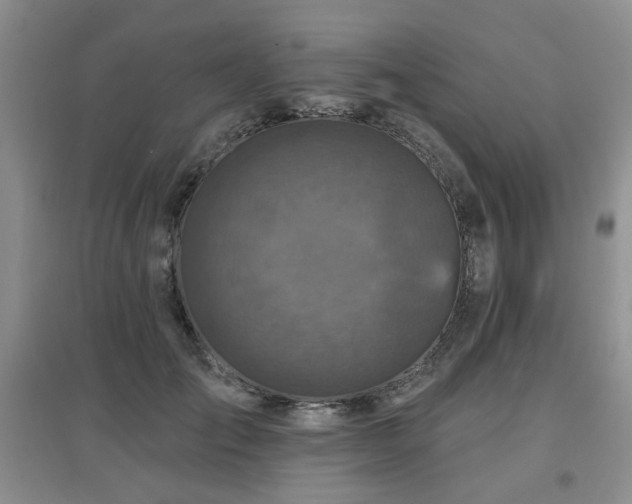 X0000097870701200803141258
