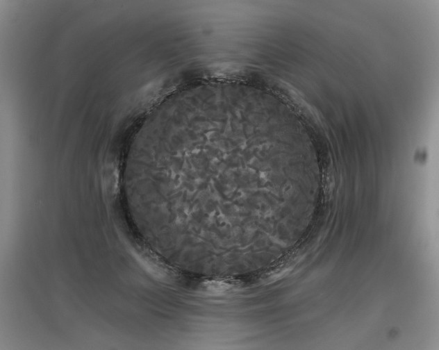 X0000097870703200803141258