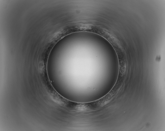 X0000097870704200803141258