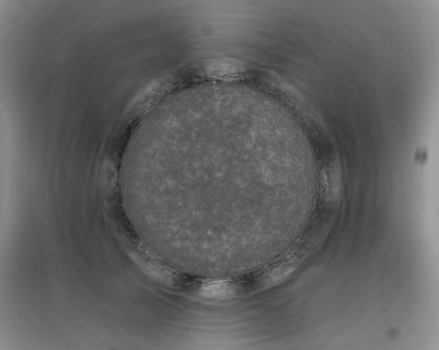 X0000097870705200803141258