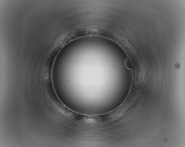 X0000097870706200803141258