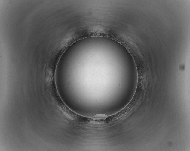X0000097870708200803141258
