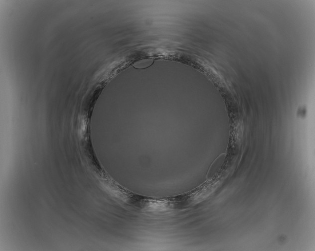 X0000097870709200803141258