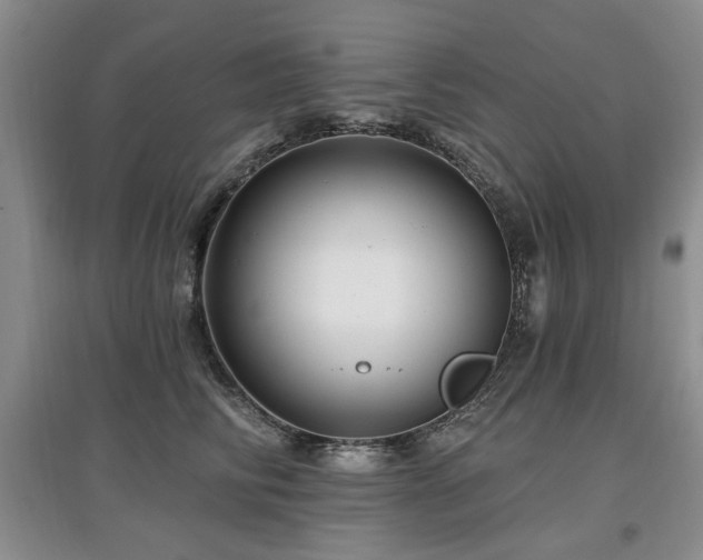 X0000097870710200803141258