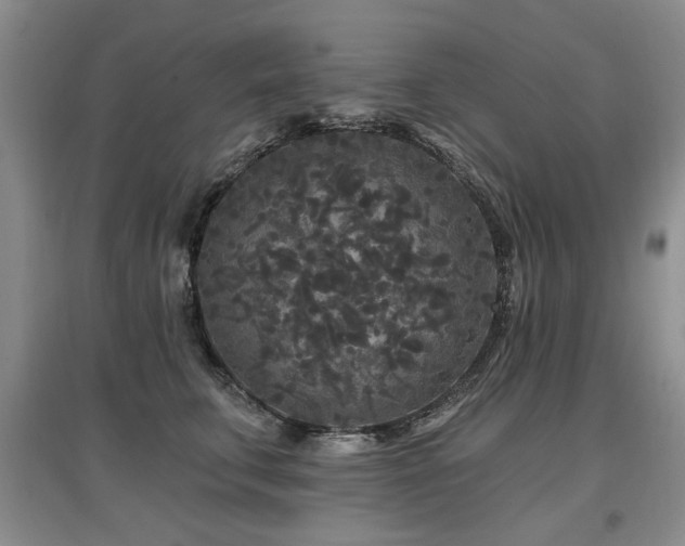X0000097870711200803141258
