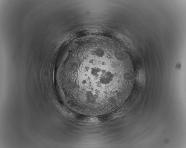 X0000097870715200803141258