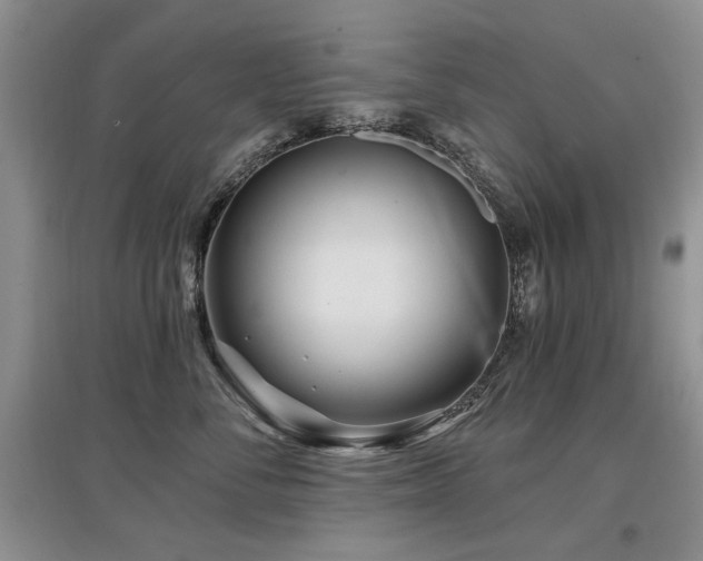 X0000097870716200803141258