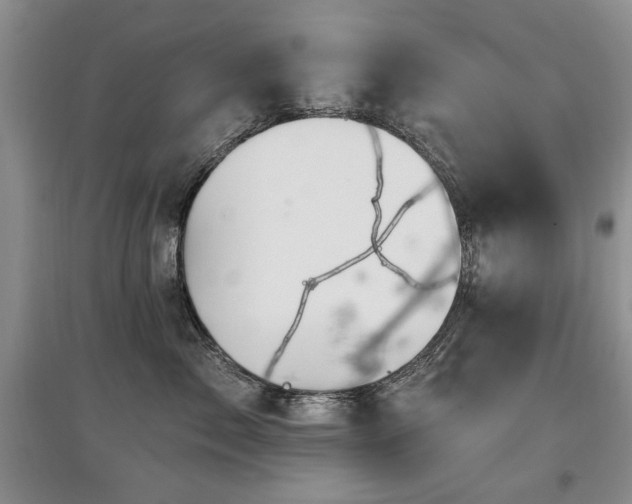 X0000097870717200803141258