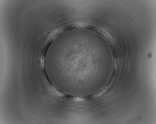 X0000097870718200803141258