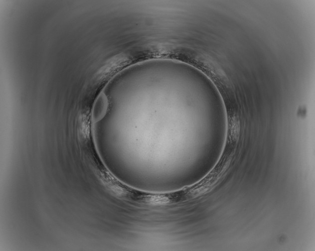 X0000097870719200803141258