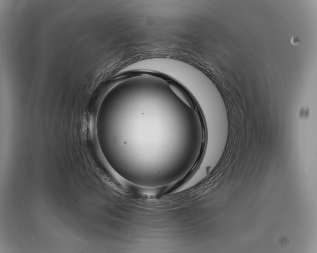 X0000097870720200803141258