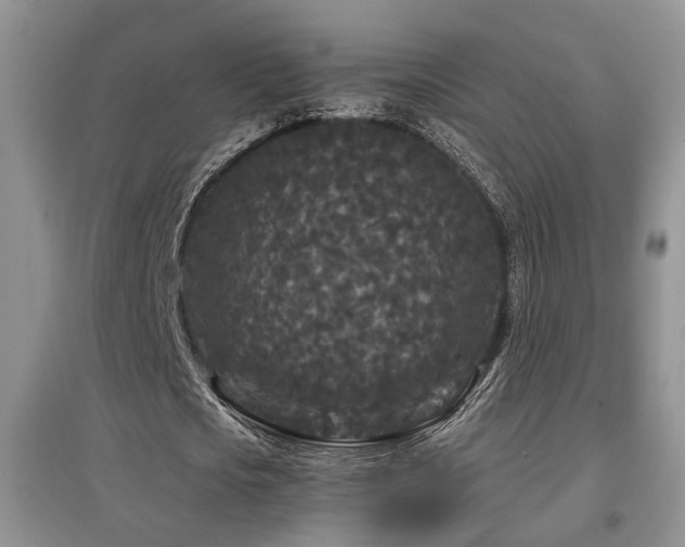 X0000097870721200803141257
