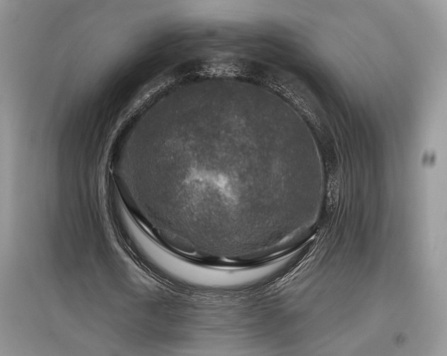 X0000097870722200803141257