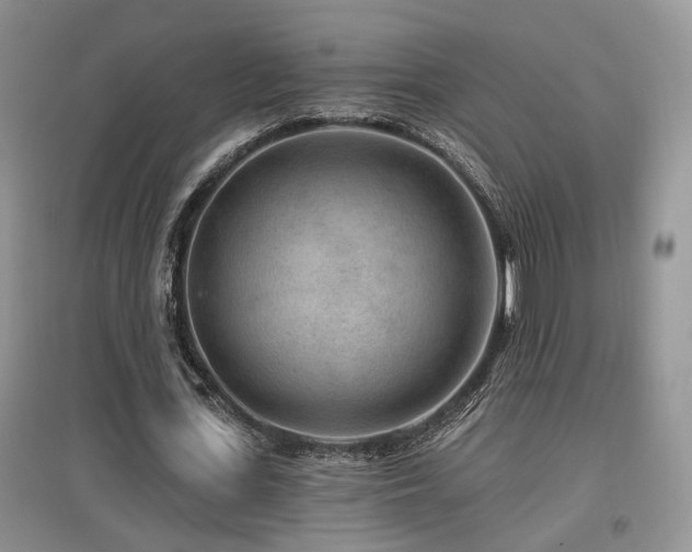 X0000097870723200803141257