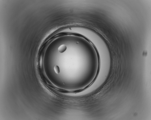 X0000097870726200803141257