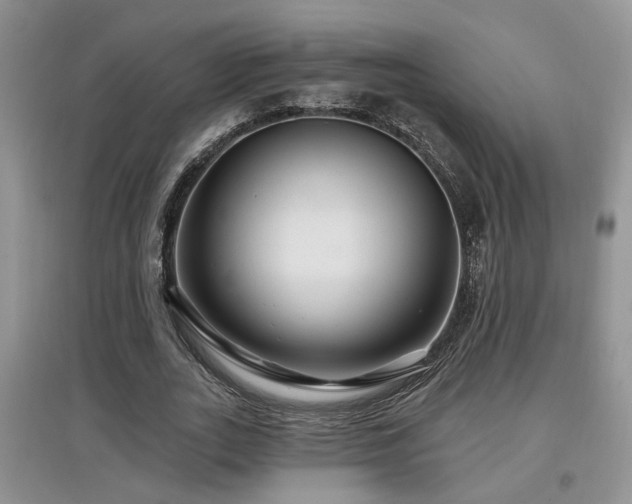 X0000097870727200803141257