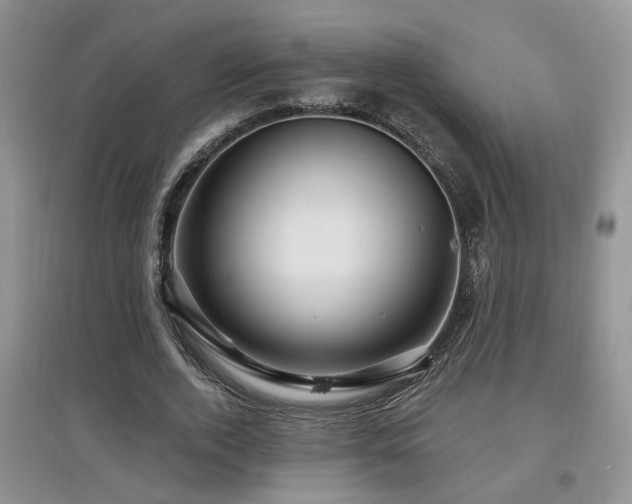 X0000097870728200803141257