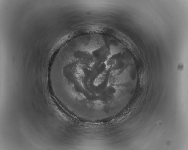 X0000097870729200803141257