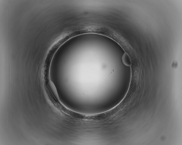 X0000097870730200803141257