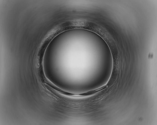 X0000097870731200803141257