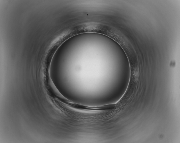 X0000097870732200803141257