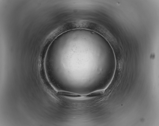 X0000097870733200803141257