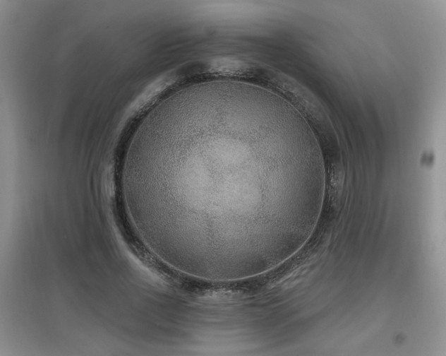 X0000097870734200803141257