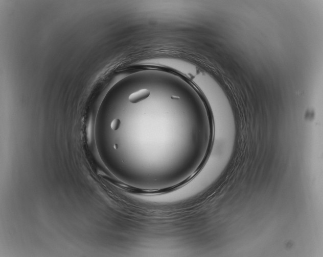 X0000097870735200803141257