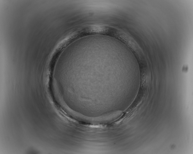 X0000097870736200803141257