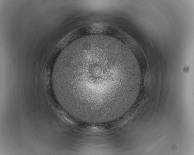 X0000097870737200803141257