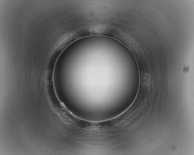X0000097870738200803141257