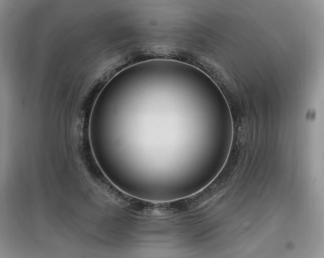 X0000097870739200803141257