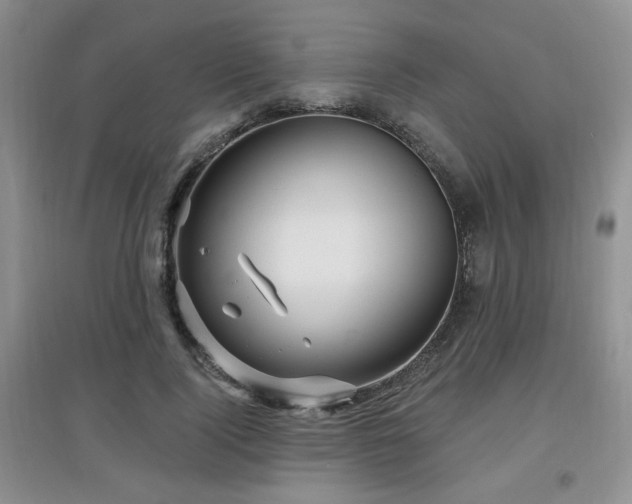 X0000097870740200803141257