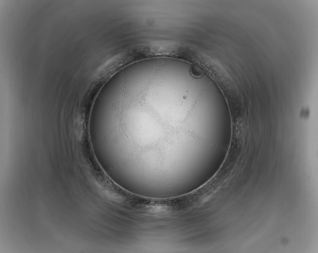 X0000097870741200803141257
