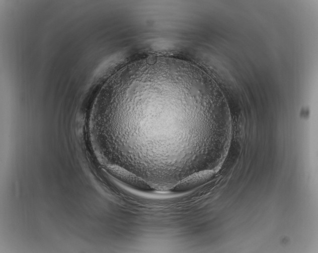 X0000097870742200803141257