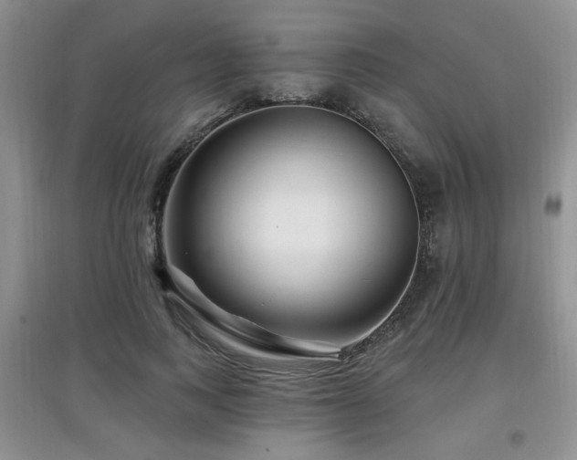 X0000097870743200803141257