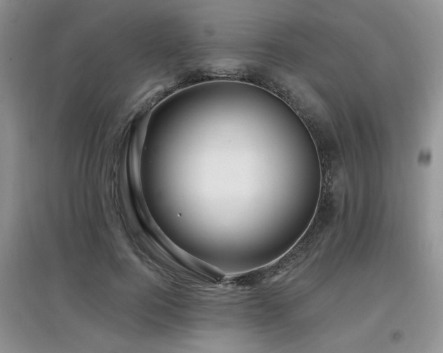 X0000097870744200803141257