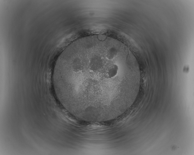 X0000097870745200803141257