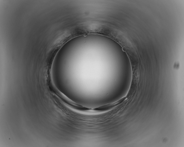 X0000097870746200803141257