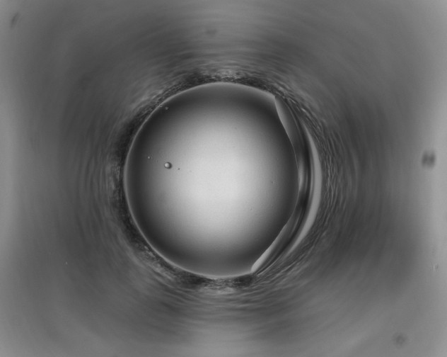 X0000097870747200803141257