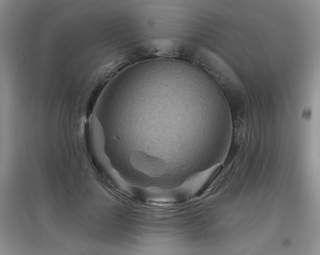 X0000097870748200803141257