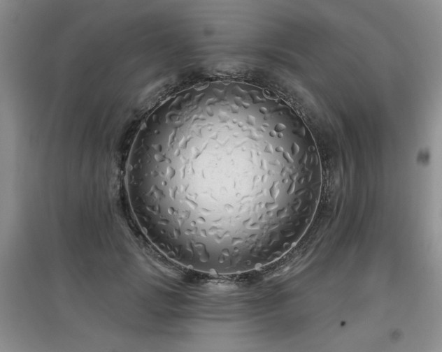 X0000097870749200803141258