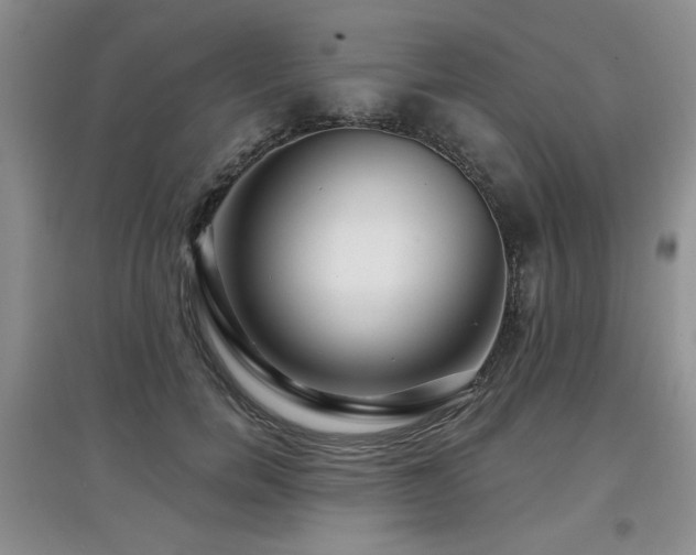 X0000097870750200803141258