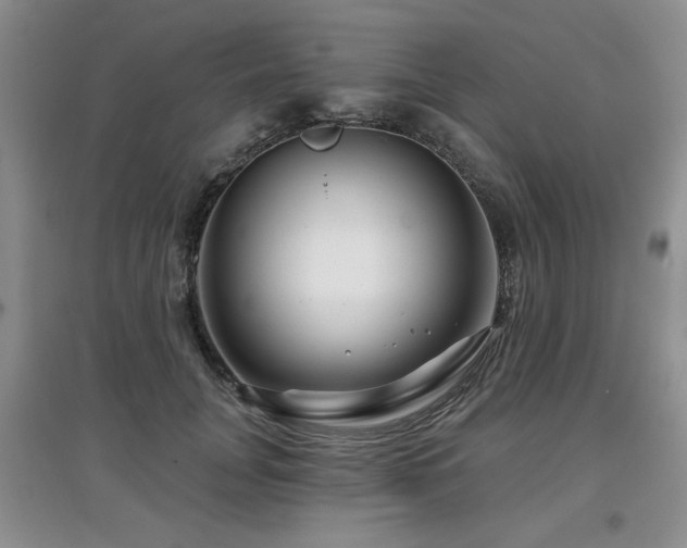 X0000097870751200803141258