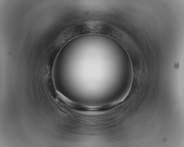 X0000097870752200803141258