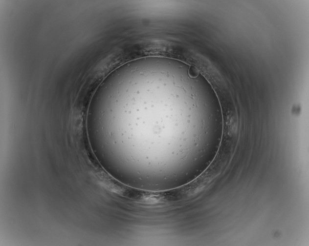 X0000097870753200803141258