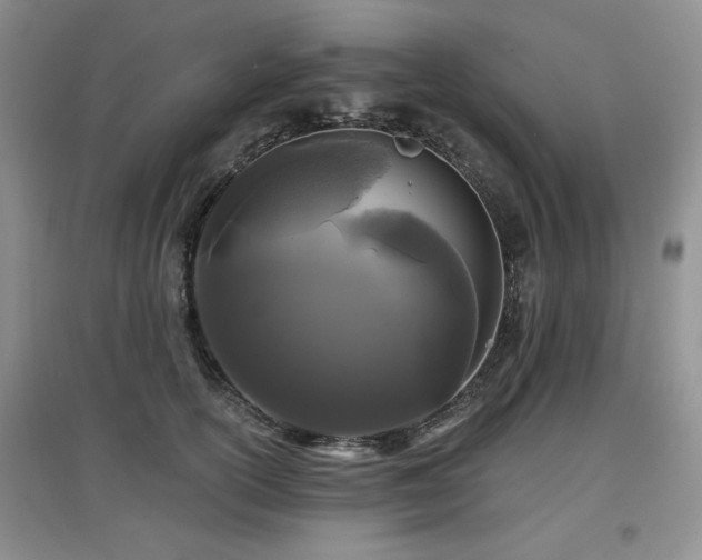 X0000097870754200803141258