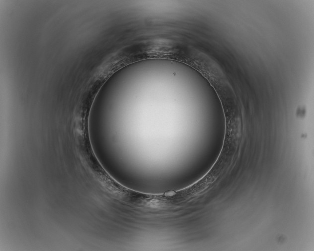 X0000097870755200803141258